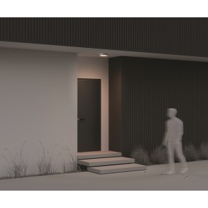 Потолочный светильник Outdoor O431CL-L30W3K