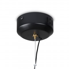 Подвесной светильник Freya FR5384PL-L5BL