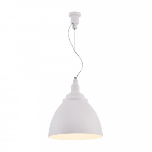 Подвесной светильник Maytoni P535PL-01W