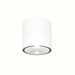 Потолочный светильник Outdoor O310CL-L12W3K