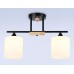 Потолочная люстра Ambrella light Traditional Modern TR9543