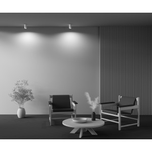 Потолочный светильник Technical C003CW-01W