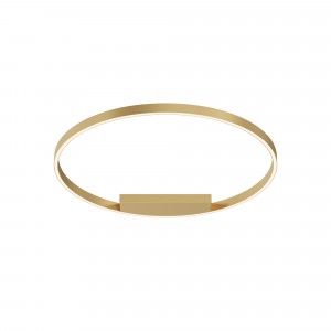 Потолочный светильник Maytoni MOD058CL-L50BSK