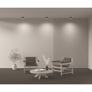 Потолочный светильник Technical C009CW-L12B4K