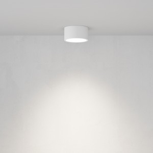 Потолочный светильник Technical C001CL-GX53-W