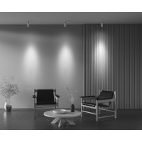 Потолочный светильник Technical C055CL-L12W2.7K-Z-W