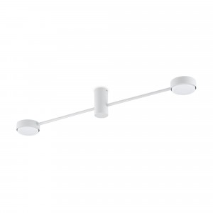 Потолочный светильник Freya FR5363CL-02W1