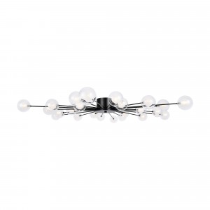 Потолочный светильник Freya FR5242CL-24B1