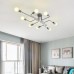 Потолочная люстра Imperium Loft Scheme 102022-26