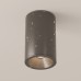 Потолочный светильник Technical C029CL-01-S-B
