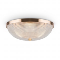 Потолочный светильник Maytoni C046CL-03G