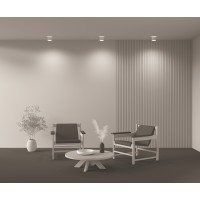 Потолочный светильник Technical C009CW-L12W4K