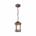 Подвесной светильник Outdoor O031PL-01BR