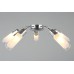 Потолочная люстра Omnilux Lavarone OML-28707-05