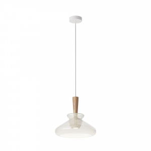 Подвесной светильник Maytoni MOD405PL-01W