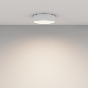 Потолочный светильник Technical C032CL-24W4K-RD-W