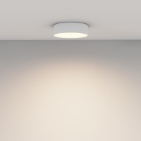 Потолочный светильник Technical C032CL-24W3K-RD-W