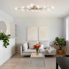 Потолочный светильник Freya FR5242CL-24BS1