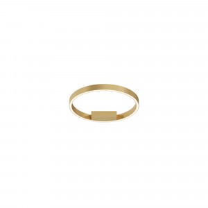 Потолочный светильник Maytoni MOD058CL-L25BSK