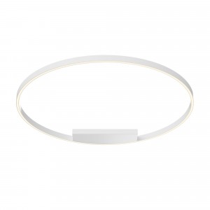 Потолочный светильник Maytoni MOD058CL-L65WK