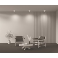 Потолочный светильник Technical C009CW-L12W