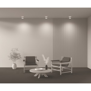 Потолочный светильник Technical C009CW-L12W