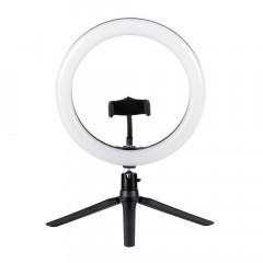 Настольная лампа Camelion KD-849 C02 13012