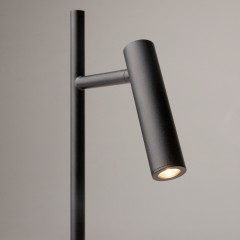 Напольный светильник (торшер) Maytoni Z010FL-L8B3K