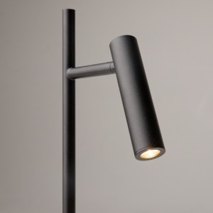 Напольный светильник (торшер) Maytoni Z010FL-L8B3K