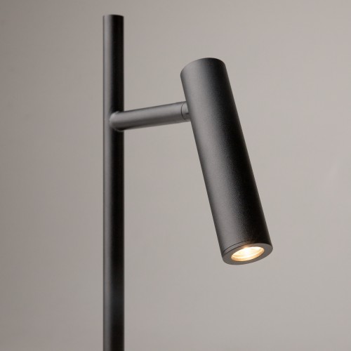 Напольный светильник (торшер) Maytoni Z010FL-L8B3K