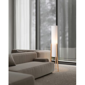 Напольный светильник (торшер) Freya FR5543FL-01T