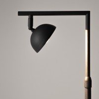 Напольный светильник (торшер) Maytoni MOD372FL-L10B3K