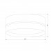Потолочный светильник TK Lighting 6548 Paglia Black
