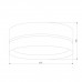 Потолочный светильник TK Lighting 6548 Paglia Black