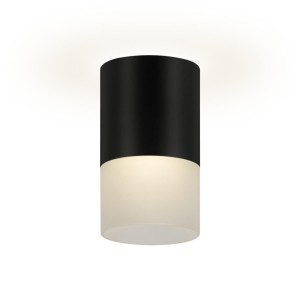 Накладной потолочный светильник Ritter Essen RCS-65MR16-BL 52060 3