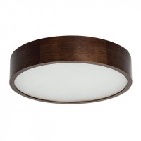 Настенный потолочный светильник Kanlux JASMIN 370-WE 23121