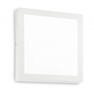 Настенно-потолочный светодиодный светильник Ideal Lux Universal D40 Square 240374