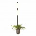 Настенный светильник Odeon Light Walli Flower 4681/2WA