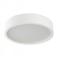 Настенный потолочный светильник Kanlux JASMIN 370-W/M 23127