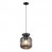 Подвесной светильник Odeon Light JUGI 5042/1B