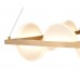 Подвесной светильник Vele Luce Drop VL7194P16