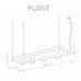 Подвесной светильник Nowodvorski Plant 9382