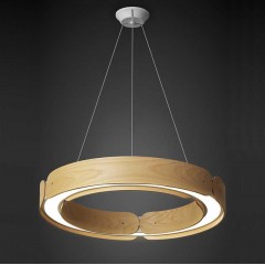 Подвесной кольцевой светильник Imperium Loft RANGE01 195535-26