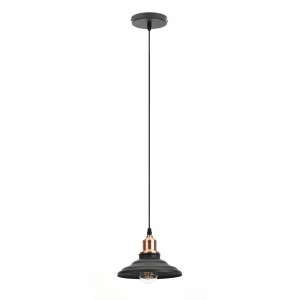 Подвесной светильник ЭРА Loft PL4 BK/RC Б0037438