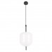 Подвесной светодиодный светильник Loft IT Venice 10223/D White
