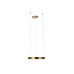Подвесной светодиодный светильник Loft IT Ring 10013S