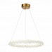 Подвесной светодиодный светильник ST Luce Lucchero SL6105.203.01