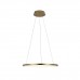 Подвесной светодиодный светильник Loft IT Ring 10014M