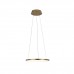 Подвесной светодиодный светильник Loft IT Ring 10014S