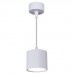 Подвесной светильник Reluce 53005-0.9-001LD GX53 WT